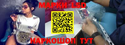 стафф Можга