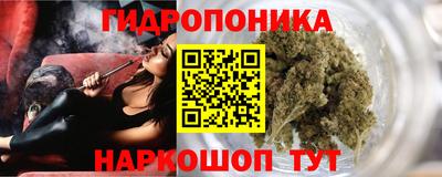 стафф Можга