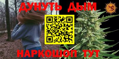 шишки Моздок