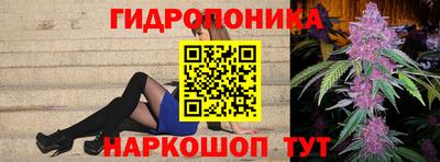 стафф Можга