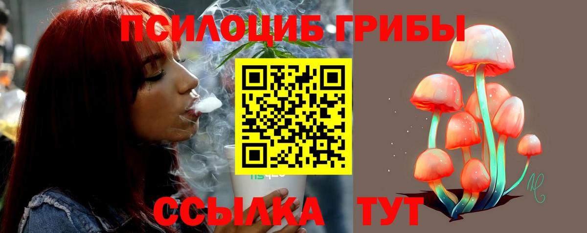 Галлюциногенные грибы GOLDEN TEACHER Лесной